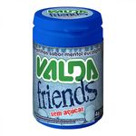 Pastilhas-Valda-Friends-Pote-50G---Valda