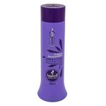 Shampoo-Haskell-Ametista-300Ml---Haskell