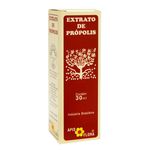 Extrato-Apis-Flora-Propolis-30ml