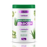 BN-EXPLOSAO-DE-BABOSA-PENTEAR-HIDRATACAO-1KG