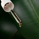 AmpoladeTratamentoCapilarHidrateiCachos30ml