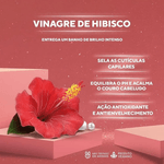 Máscara Capilar de Hidratação DaBelle Hair Explosão de Brilho - 400g