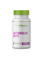 Lactobacillus Lactis 30 Cápsulas
