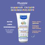 Shampoo Cachos Desembaracados 7