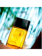 Azzaro Pour Homme Eau de Toilette - Perfume Masculino