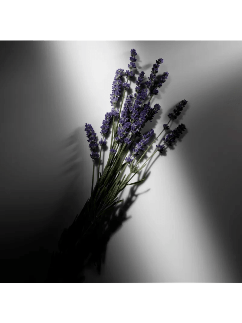 Ralph Lauren Ralph's Club Parfum - Perfume Masculino