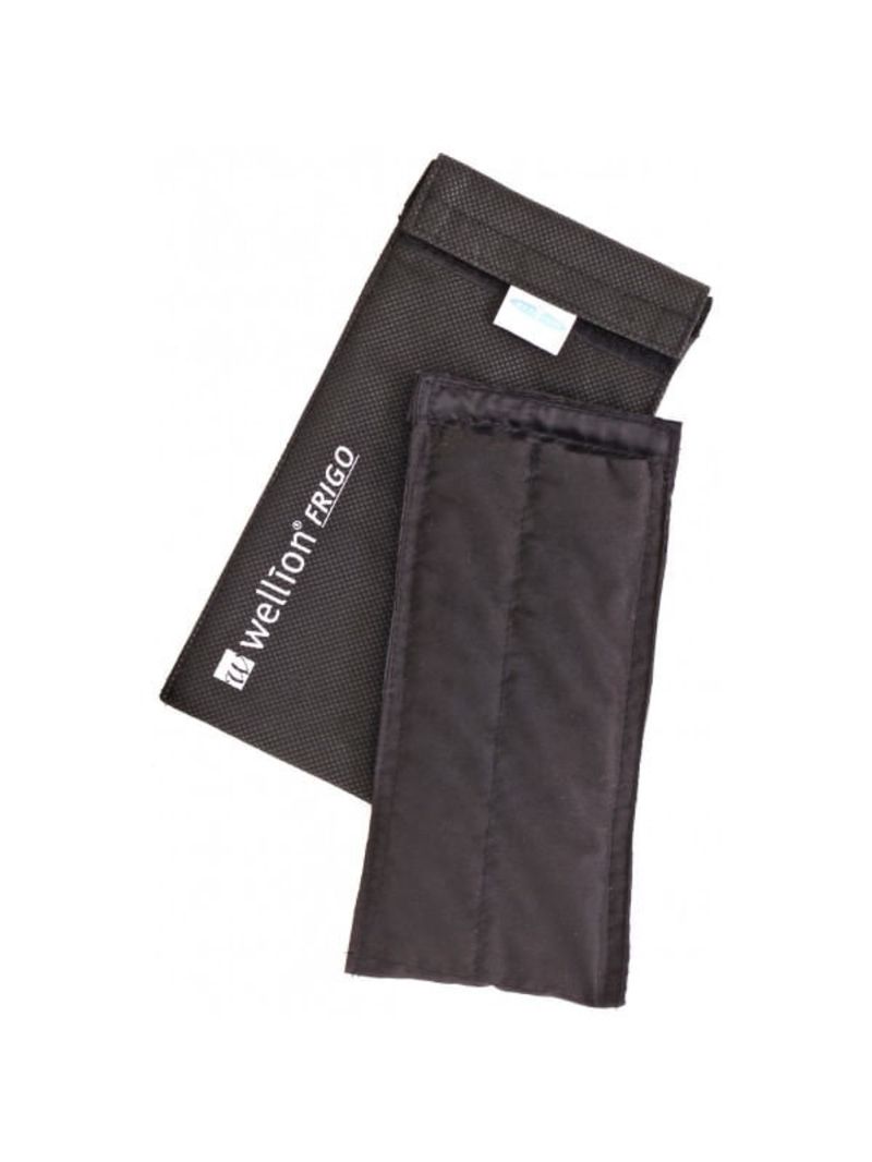 Bolsa Refrigerada para Transporte de Insulina Frigo Wellion