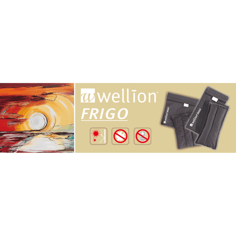 Bolsa Refrigerável Para Transporte De Medicamentos Wellion