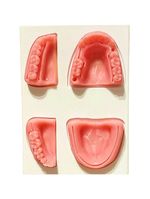 Simulador de Sutura Dental Supermedy