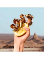 Dolce & Gabbana Queen Eau de Parfum - Perfume Feminino