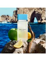 Perfume Feminino Dolce & Gabbana Light Blue Eau de Toilette 50ml