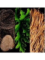 Carolina Herrera Kit Bad Boy Cobalt Eau de Parfum - Perfume Masculino 100ml + Shower Gel 100ml