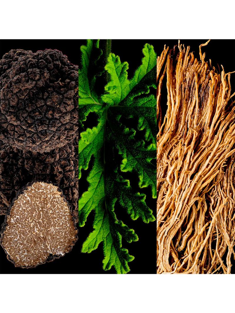 Carolina Herrera Kit Bad Boy Cobalt Eau de Parfum - Perfume Masculino 100ml + Shower Gel 100ml