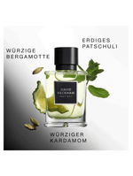 David Beckham Instinct Eau de Parfum - Perfume Masculino 50ml