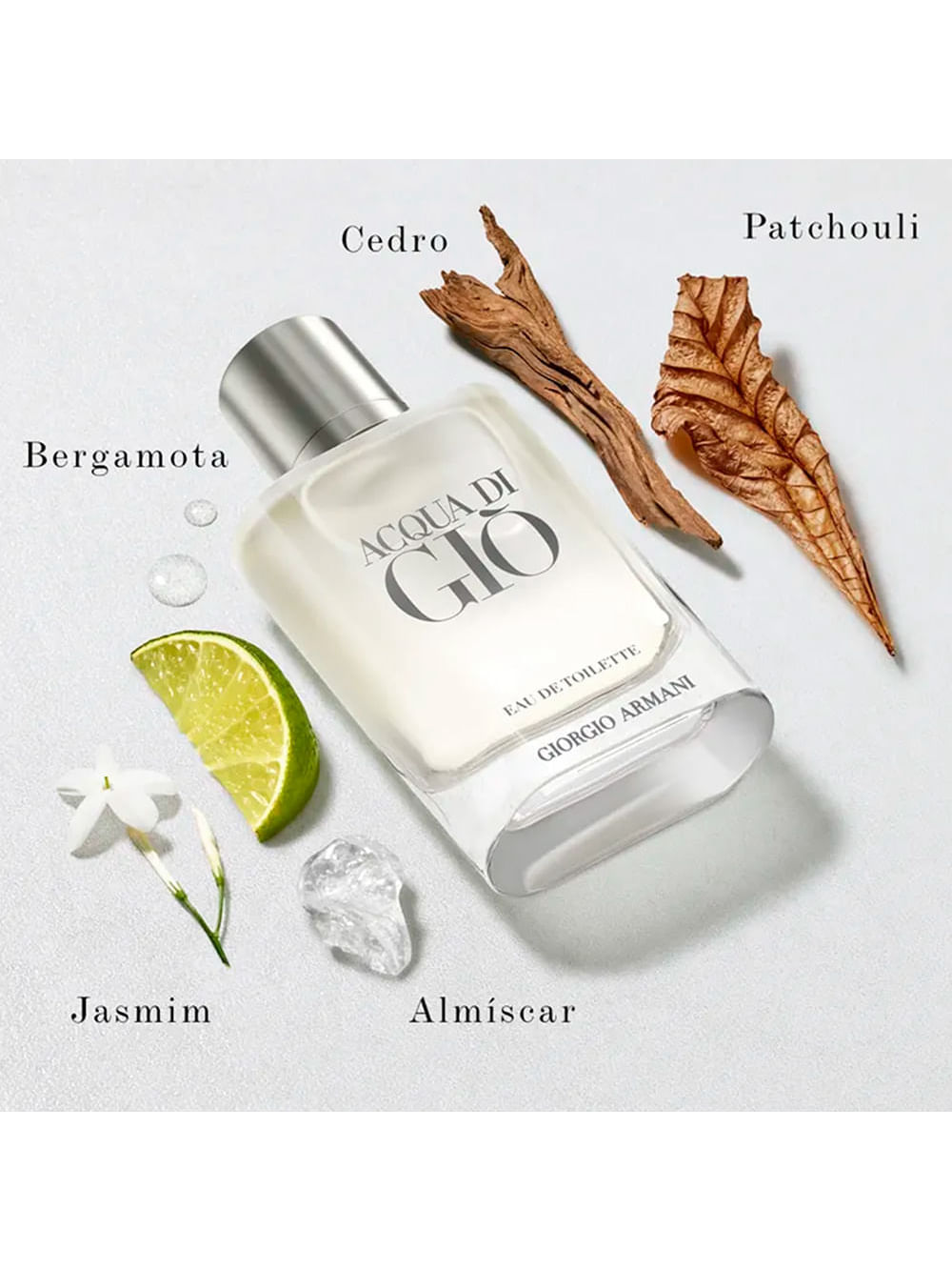 Perfume Acqua di Giò 100ml Eau de Toilette Giorgio Armani