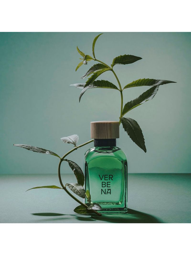 Adolfo Dominguez Verbena Eau de Toilette - Perfume Masculino 120ml