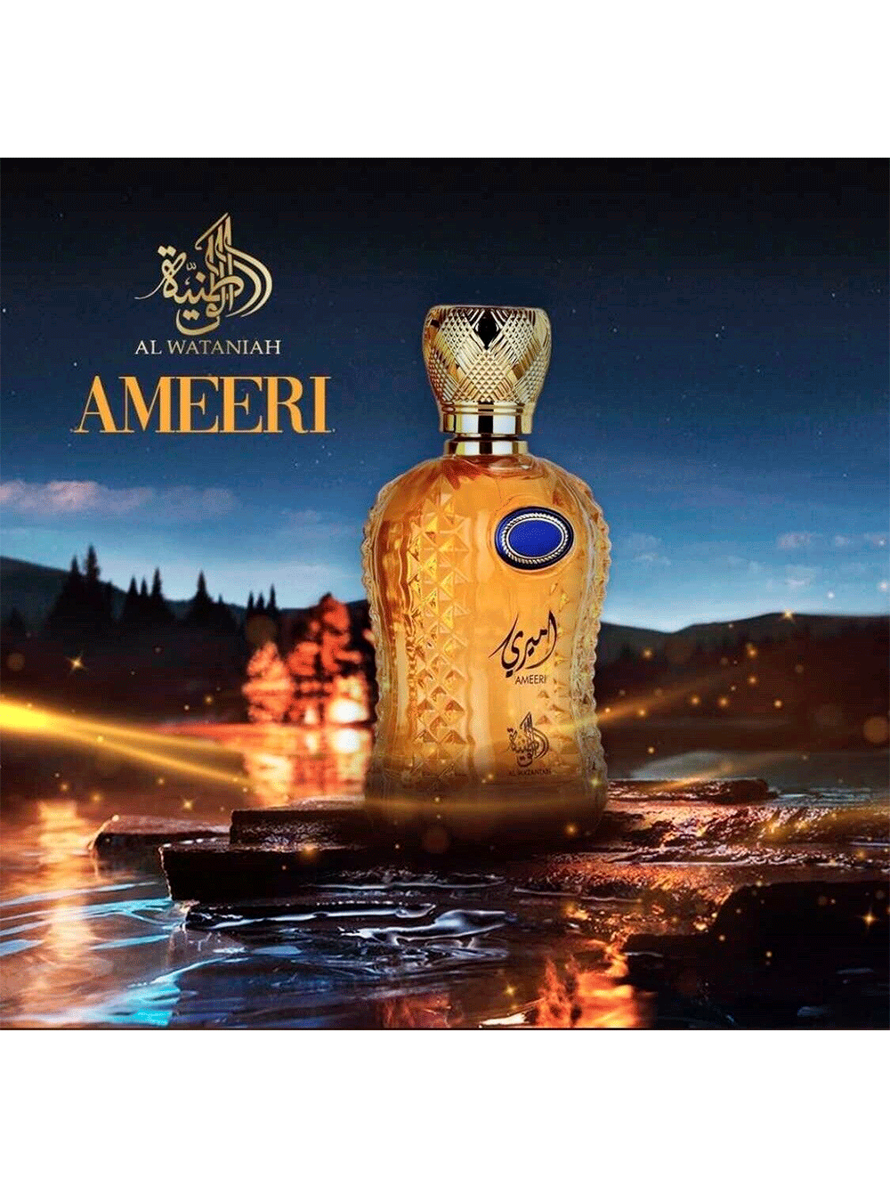 *Al Wataniah Ameeri メンズ香水 Perfume Masculino Ameeri 100ml Eau De Parfum Al Wataniah