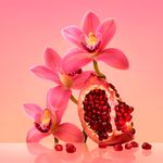 Calvin Klein Euphoria Eau de Parfum - Perfume Feminino 30ml