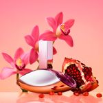 Calvin Klein Euphoria Eau de Parfum - Perfume Feminino 30ml