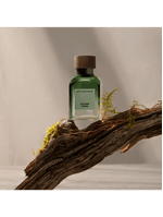 Adolfo Dominguez Vetiver Terra Eau de Parfum - Perfume Masculino 120ml