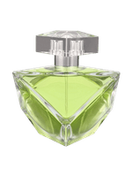 Britney Fantasy Believe Eau de Parfum - Perfume Feminino 100ml