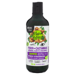 Shampoo Salon Line M/Nature Poder Castanha 350Ml - Salon Line Maria Natureza