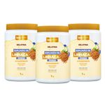 Kit Gelatina Explosão de Linhaça Dourada 1Kg (3 itens)
