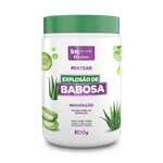 Creme de Pentear Explosão de Babosa 800g