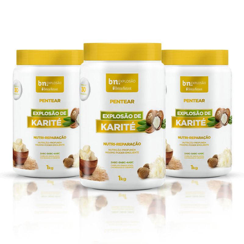 Kit Creme de Pentear Explosão de Karité 1Kg (3 itens)