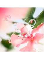 Perfume Feminino Lancôme Ôver The Top Eau de Toilette Floral 100ml