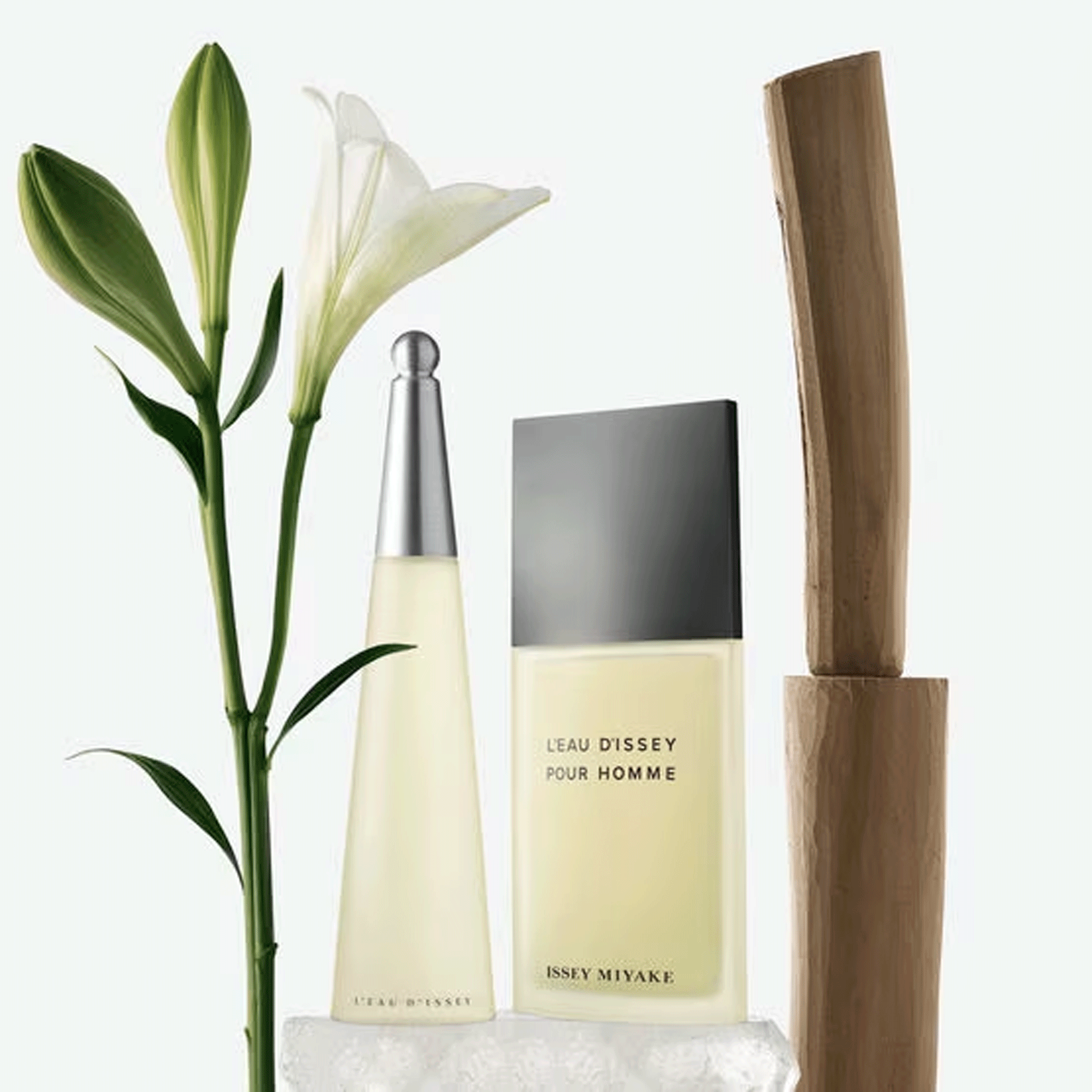 Issey Miyake L'Eau D'Issey Pour Homme Eau de Toilette - Perfume