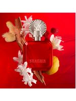 Kit Perfume Feminino Shakira Rojo Eau de Parfum 80ml + Body Lotion 75ml