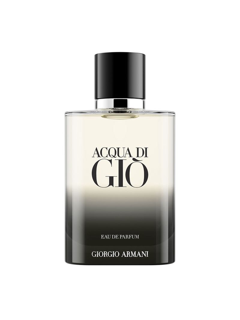 Perfume Masculino Giorgio Armani Acqua Di Gio Eau de Parfum 100ml
