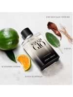 Perfume Masculino Giorgio Armani Acqua Di Gio Eau de Parfum 100ml
