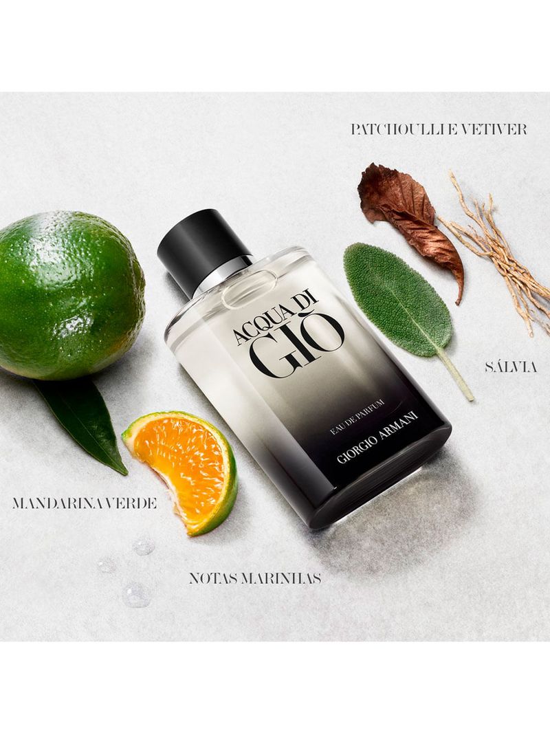 Perfume Masculino Giorgio Armani Acqua Di Gio Eau de Parfum 100ml