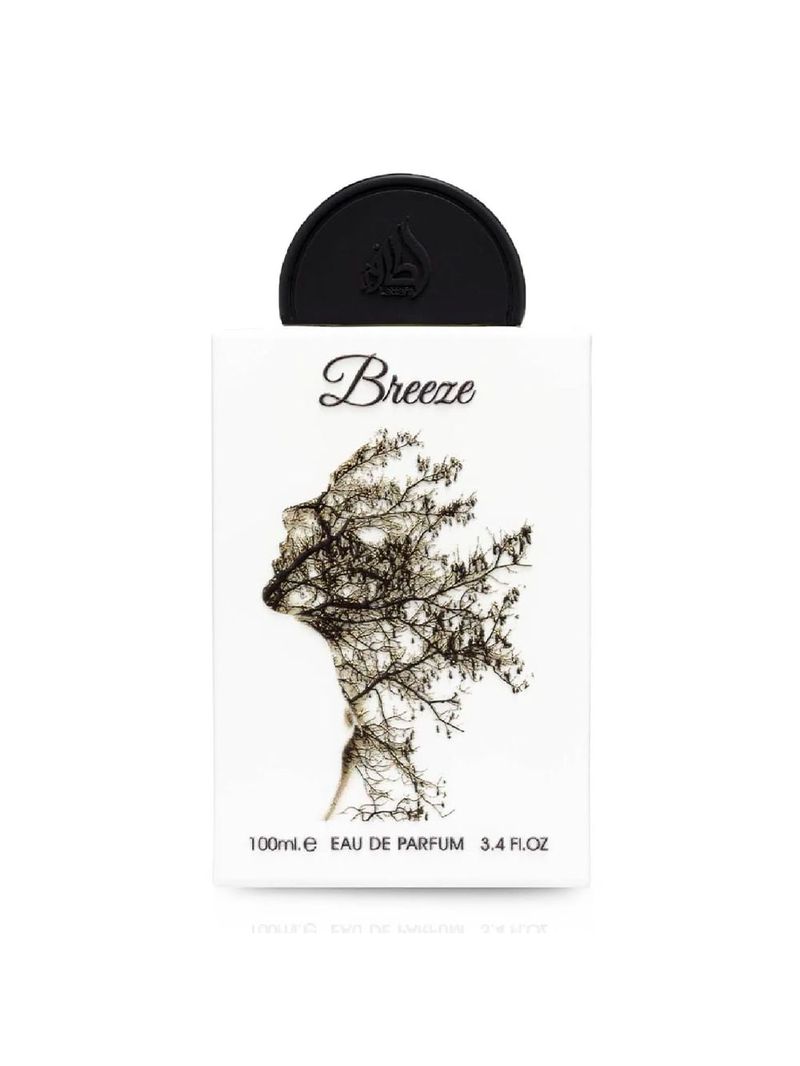 100ml