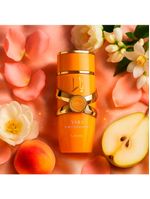 20ml