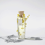 Perfume Feminino Adolfo Dominguez Mimosa Eau de Toilette 120ml