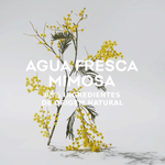 Perfume Feminino Adolfo Dominguez Mimosa Eau de Toilette 120ml
