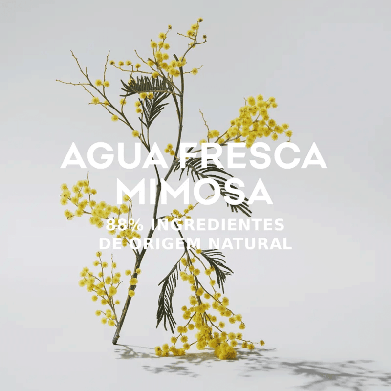 Perfume Feminino Adolfo Dominguez Mimosa Eau de Toilette 120ml