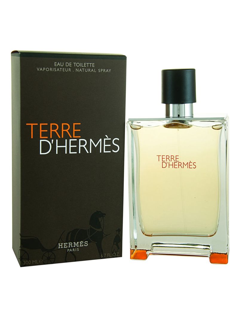 Perfume Masculino Terre D'Hermès Eau De Toilette 100ml Amadeirado Especiado Hermès