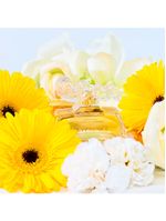 Marina de Bourbon Reverence Eau de Parfum - Perfume Feminino 100ml