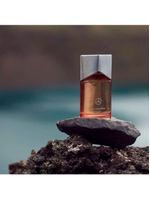 Perfume Masculino Mercedes-Benz Land Eau de Parfum 100ml Amadeirado Especiado