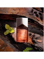 Perfume Masculino Mercedes-Benz Land Eau de Parfum 100ml Amadeirado Especiado
