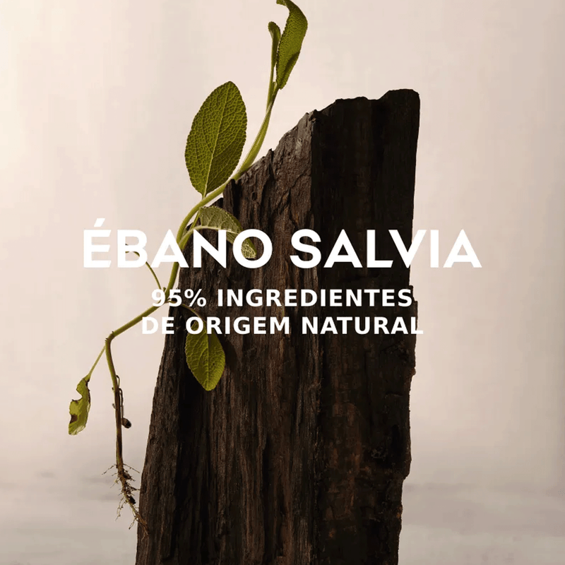 Adolfo Dominguez Ebano Salvia Eau de Parfum - Perfume Masculino 120ml