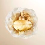 Perfume Feminino Shakira S by Shakira Eau de Toilette 80ml