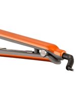 Bivolt