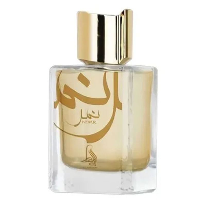 Perfume Masculino Nimr Al Absar Eau de Parfum 100ml Amadeirado Especiado