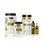 Kit Linha Completa Explosão de Azeite de Oliva + Umectação + Óleo Abacate  | bnCachos