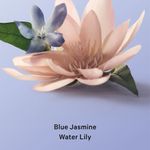 Body Mist Victoria's Secret Blue Jasmine Water Lily Cabelo e Corpo 236ml